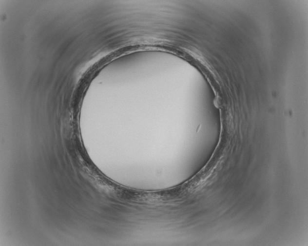 X0000075410971200609291702