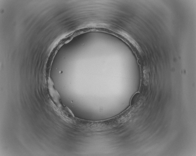 X0000075410972200609291702