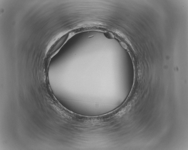 X0000075410973200609291702