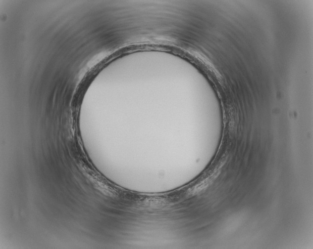 X0000075410974200609291702