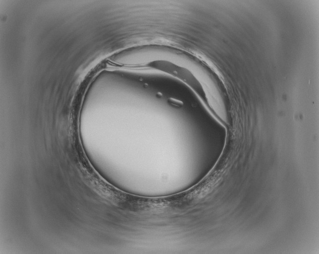 X0000075410975200609291702