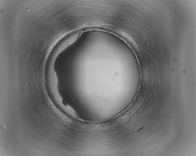 X0000075410976200609291702