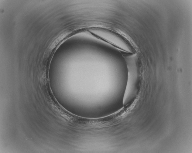 X0000075410977200609291702