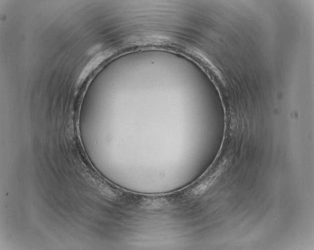 X0000075410978200609291702