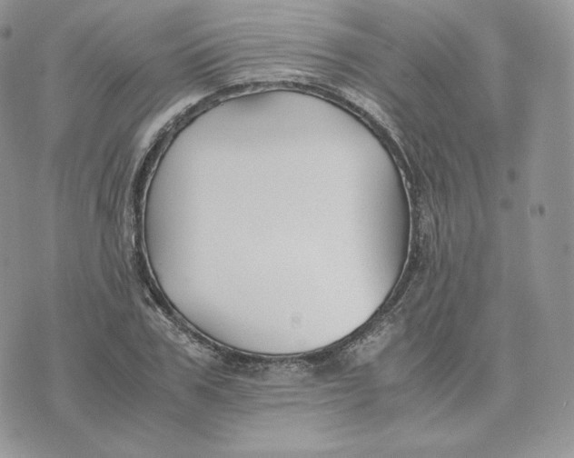 X0000075410979200609291702