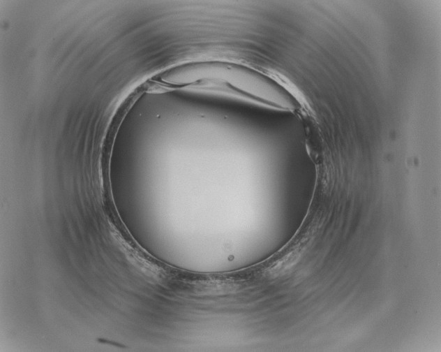 X0000075410980200609291702