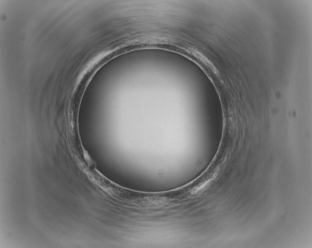 X0000075410981200609291702