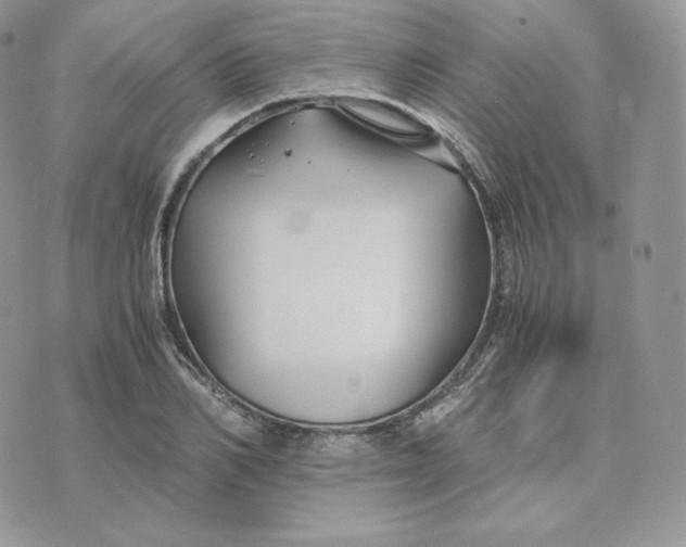 X0000075410982200609291702