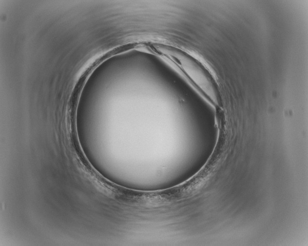 X0000075410983200609291702