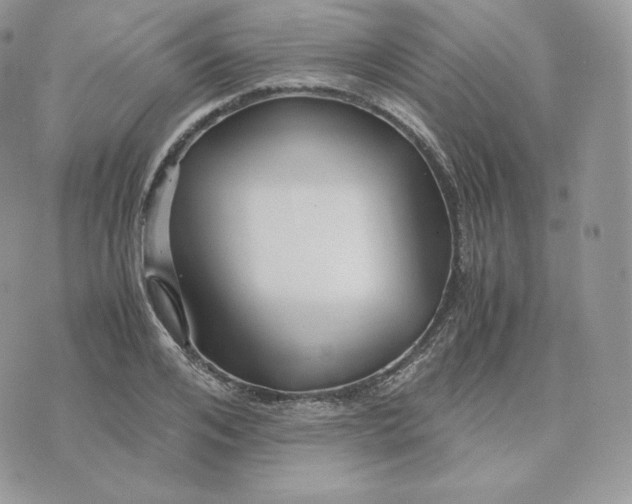 X0000075410984200609291702