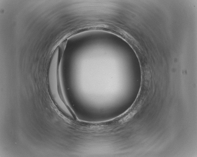 X0000075410985200609291702