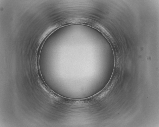 X0000075410986200609291702