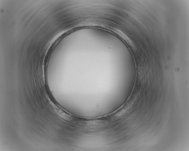 X0000075410988200609291702