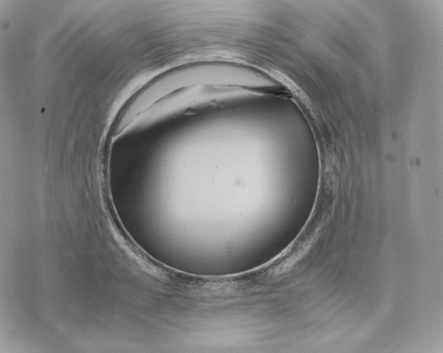 X0000075410989200609291702