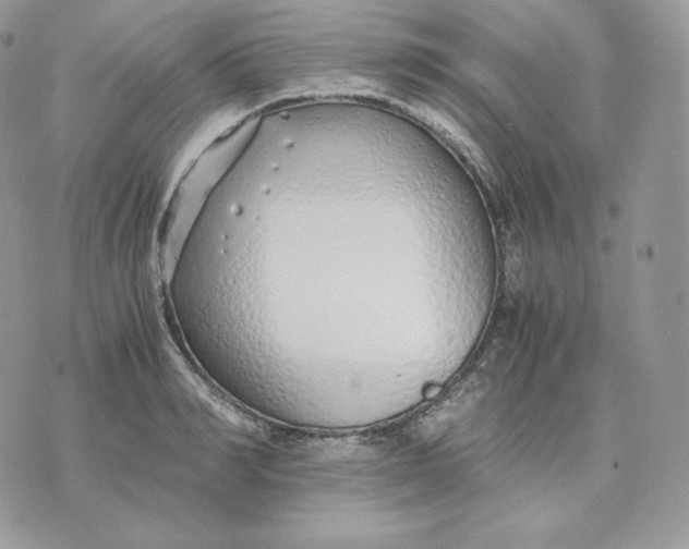 X0000075410990200609291702