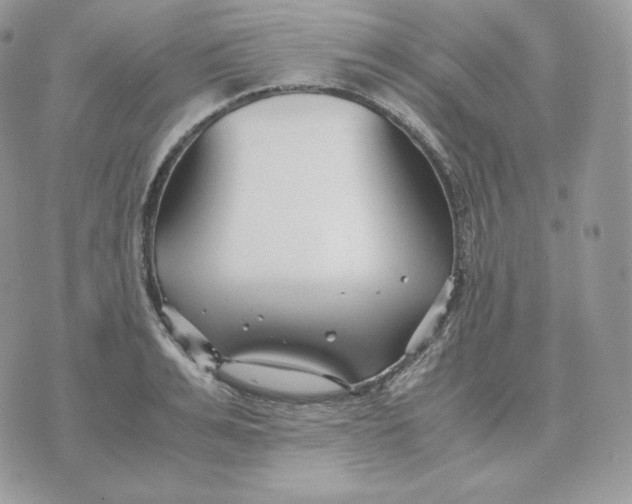 X0000075410991200609291702