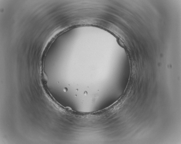 X0000075410992200609291702