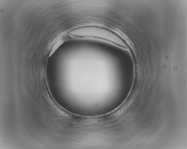 X0000075410993200609291702