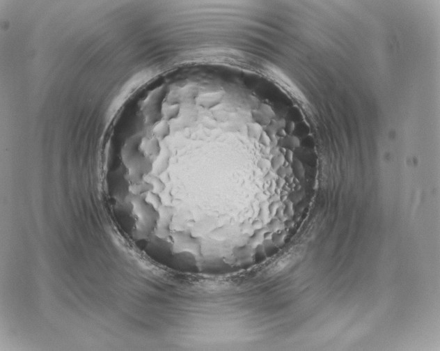 X0000075410994200609291702