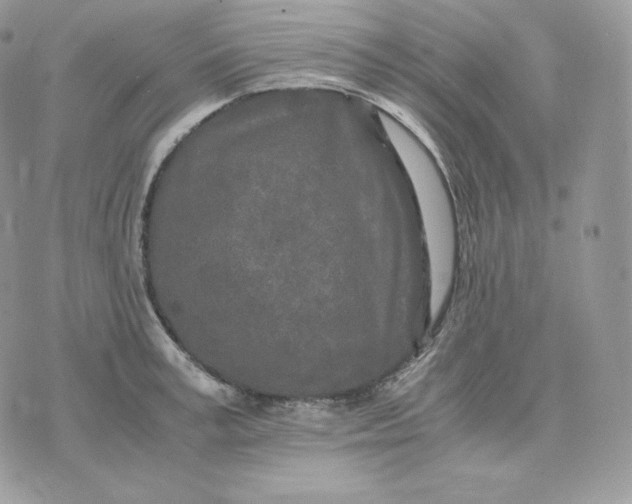 X0000075410995200609291702