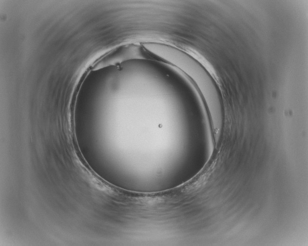 X0000075410996200609291701