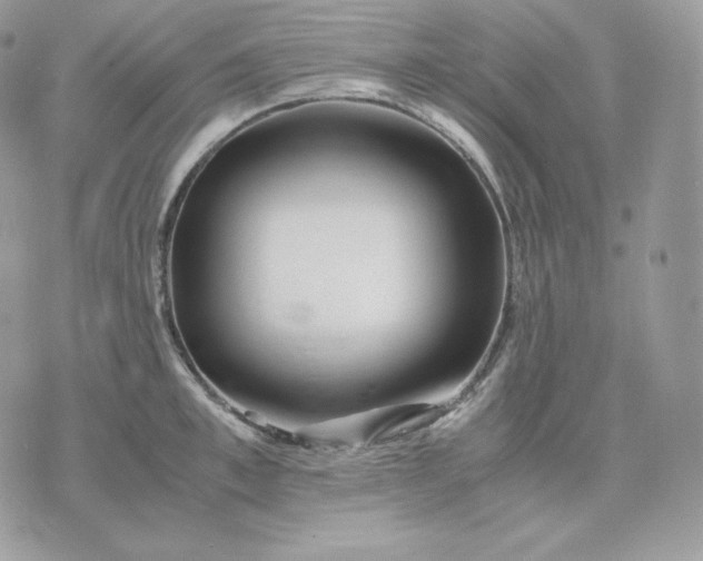 X0000075410997200609291701