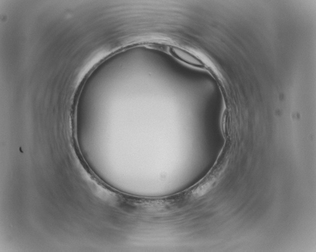 X0000075410999200609291701