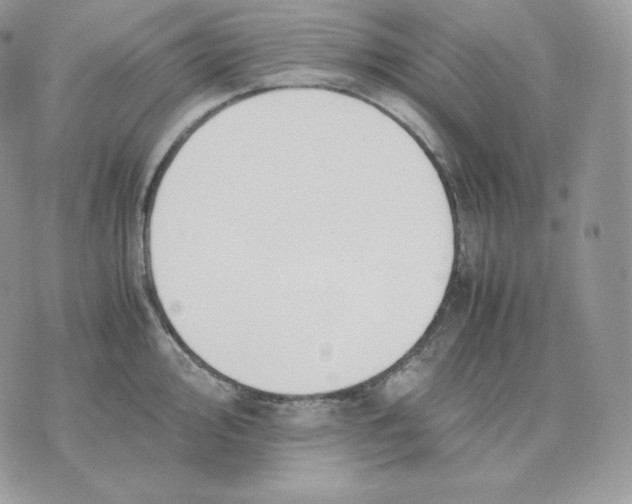 X0000075411000200609291701