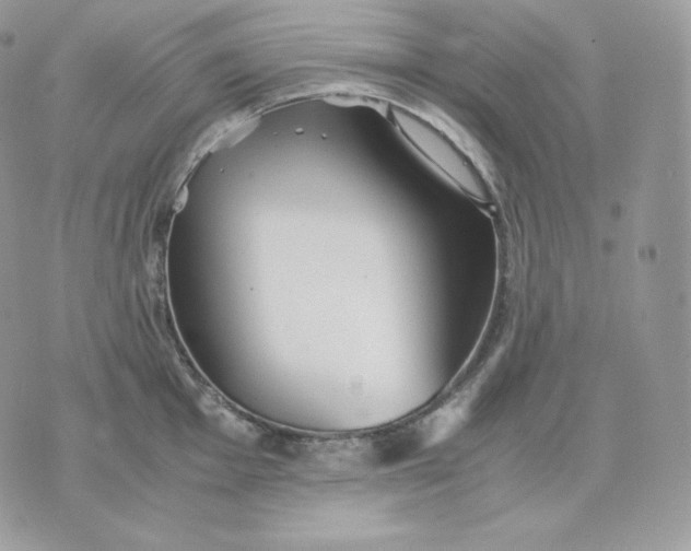 X0000075411001200609291701