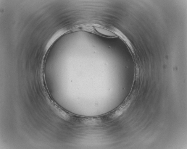 X0000075411002200609291701