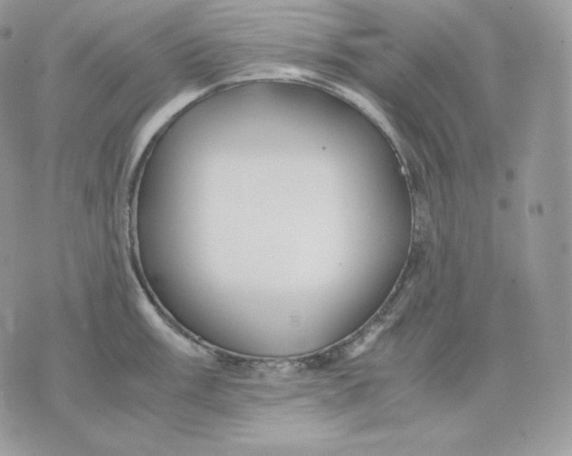 X0000075411003200609291701