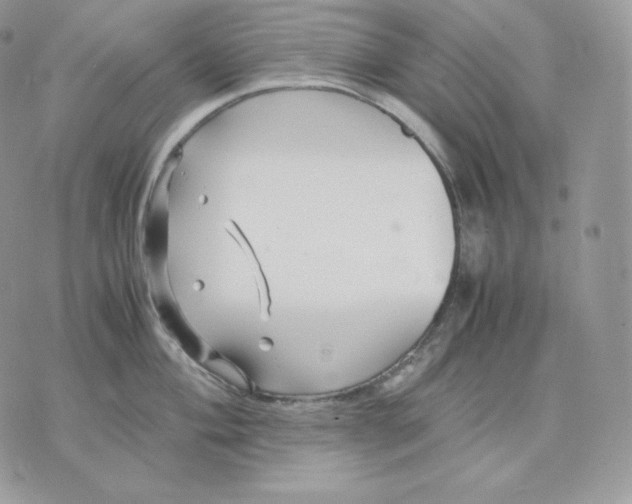 X0000075411004200609291701