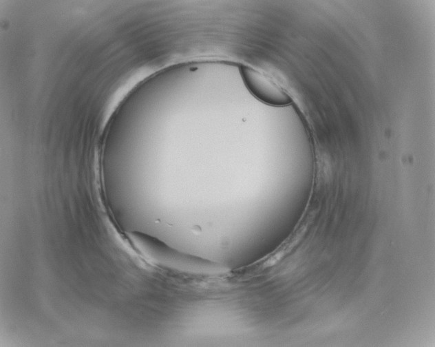 X0000075411006200609291701