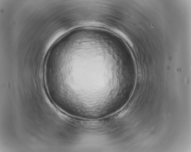 X0000075411007200609291701