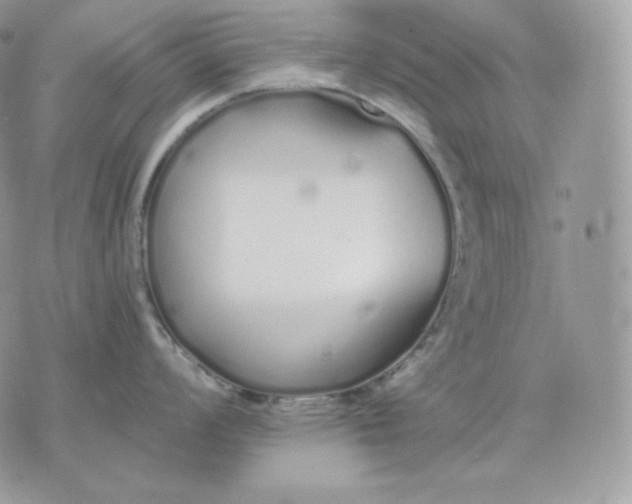 X0000075411008200609291701