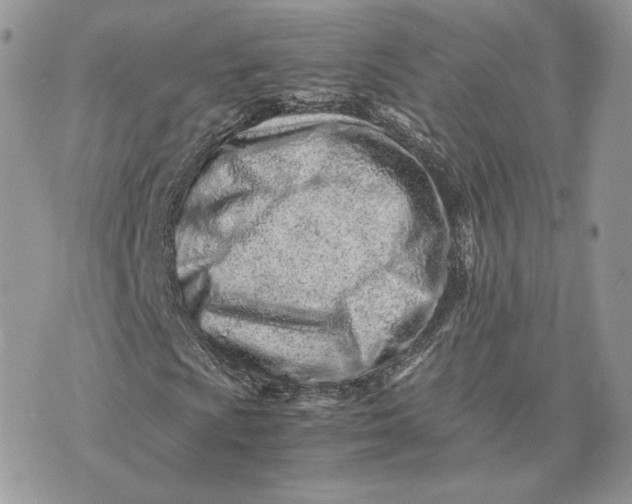 X0000075411009200609291701