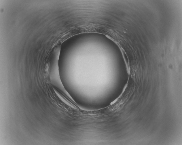 X0000075411010200609291701