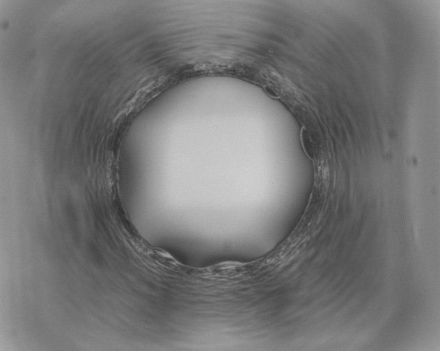 X0000075411012200609291701