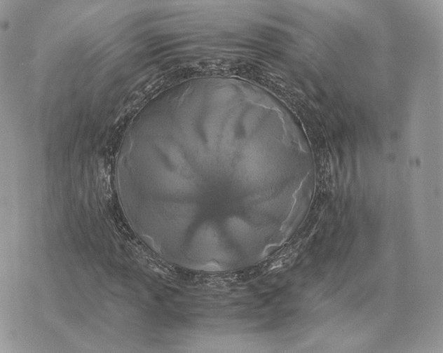 X0000075411013200609291701