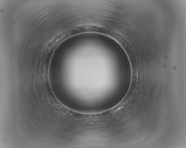 X0000075411014200609291701