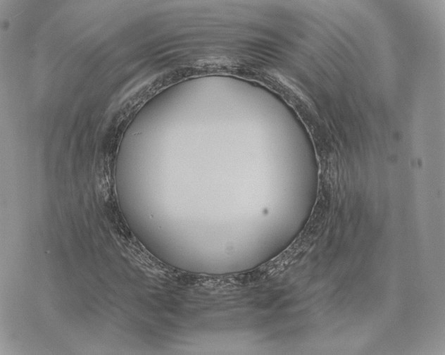 X0000075411015200609291701