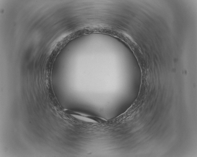 X0000075411016200609291701