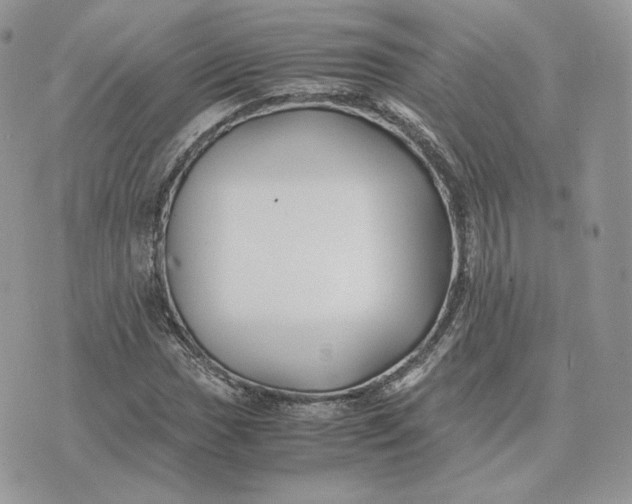 X0000075411017200609291701