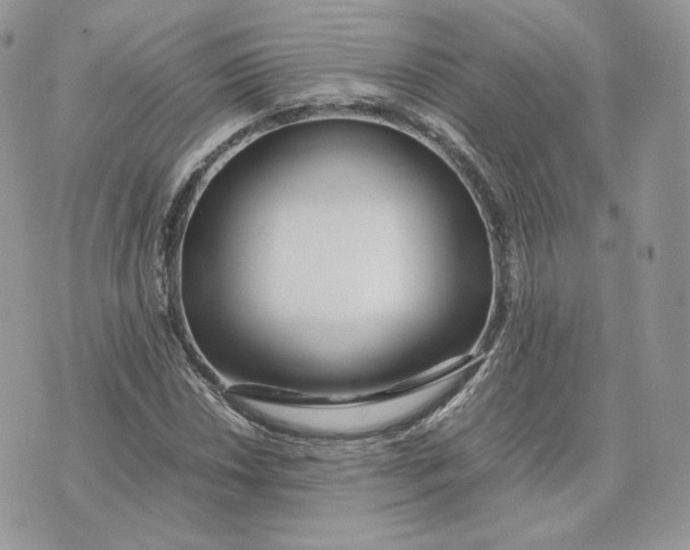 X0000075411018200609291701