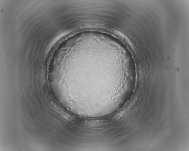 X0000075411019200609291701