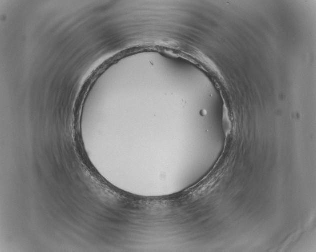 X0000075411020200609291701