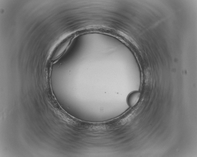 X0000075411021200609291701