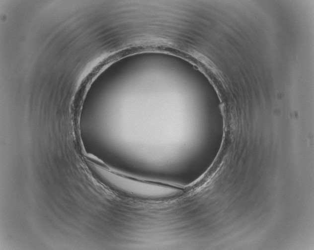 X0000075411022200609291701