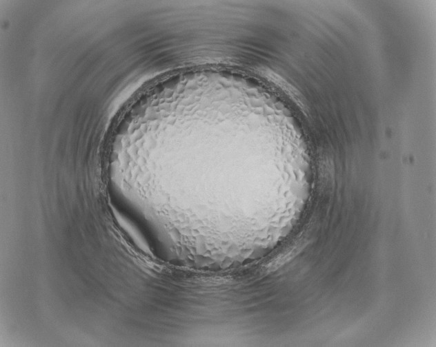 X0000075411023200609291701