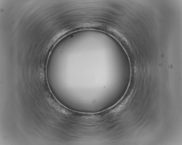 X0000075411025200609291701